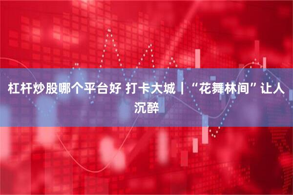 杠杆炒股哪个平台好 打卡大城｜“花舞林间”让人沉醉